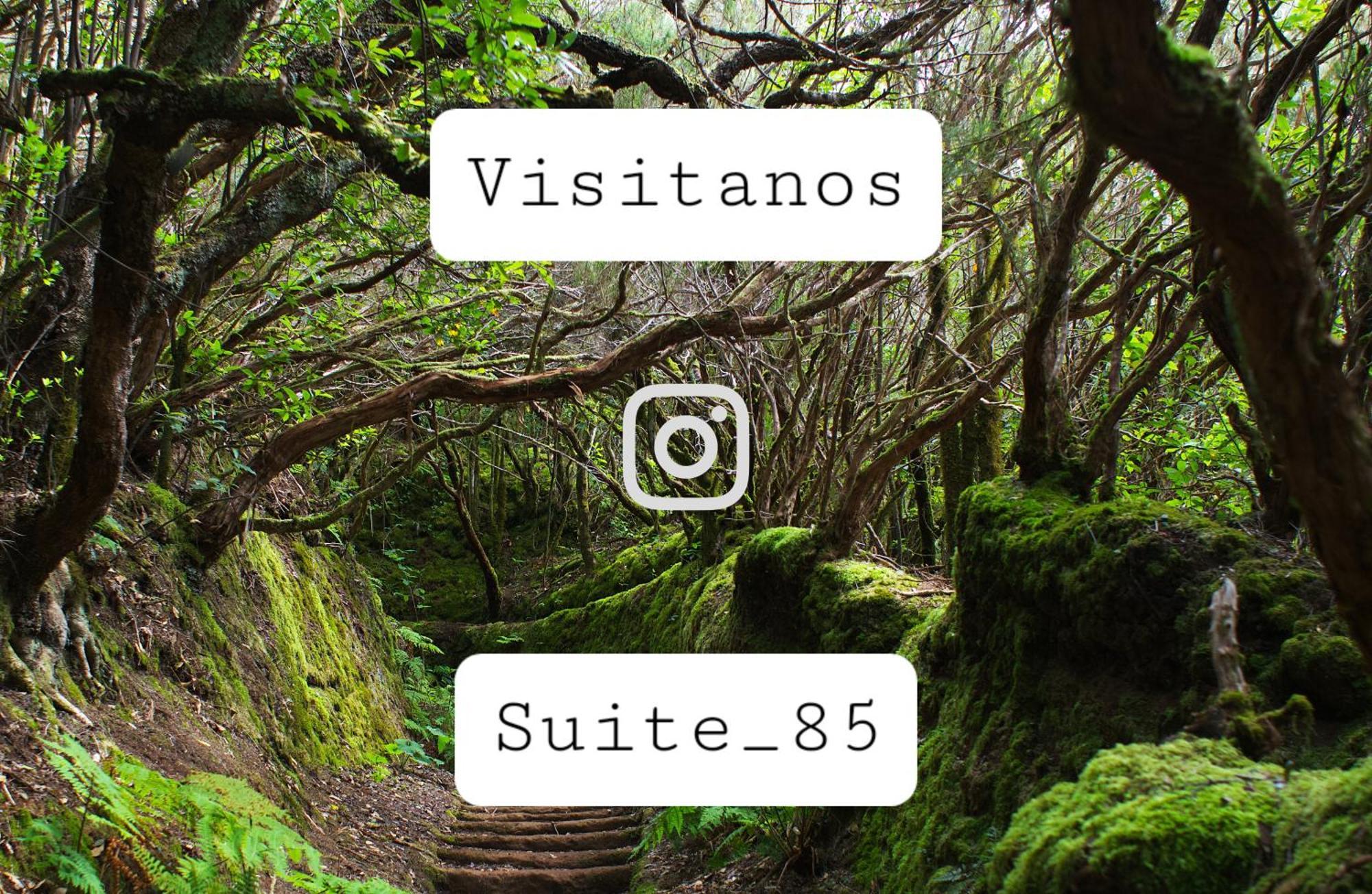 Suite 85, Villa Boutique Privada Con Piscina Icod de los Vinos Kültér fotó